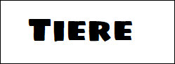 websitejuni2026003007.jpg