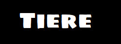 websitejuni2026005005.jpg